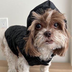 XS Black Puffer Vest with Hood for Dog